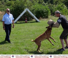 Intelligent, geschult, gehorsam und eine Waffe: Polizeihunde sind vielseitig!