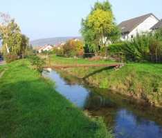 29. Juli – Ausbau Leimbach-Unterlauf zwischen Nußloch und Kirchheimer Mühle