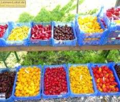 Will sich jemand den Mund verbrennen? Chili-Ernte bietet beste Gelegenheiten