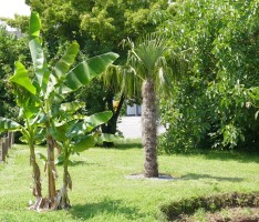 Noch heißer: „Palm Beach Nussloch“ ist der schärfste Strand der Welt