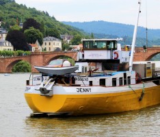 Animus-Klub Nussloch: Besuch auf „MS Wissenschaft“ in Heidelberg