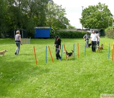 Hundesportverein Nußloch feierte 30-jähriges Jubiläum