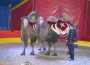 Romantik-Circus Renz noch bis 25. September in Nußloch zu Gast