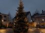 Nußloch & Leimen: Feuerwehr holt Samstag alte Weihnachtsbäume ab