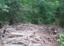 Nußlocher Waldkindergarten leidet unter Vandalismus – Hütte zerstört