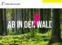 „Ab in den Wald“: Interessante Veranstaltungen im Kraichgau