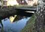 Niedrigwasser belastet Gewässer im Rhein-Neckar-Kreis