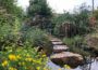 Gartentipps von Linda Langer: </br>Biodiversität im eigenen Garten