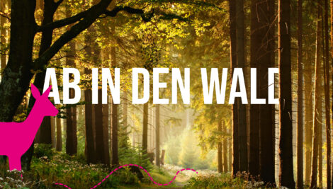 „Ab in den Wald“: Vier Veranstaltungen im Mai