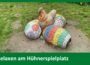 Neue Entspannungsoase auf dem Hühnerspielplatz