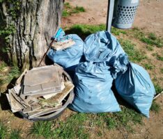 Wald- und Wiesenputz: Gemeinschaftlicher Einsatz für eine saubere Umwelt