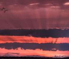 Sommeranfang in Nußloch: Faszinierende Krepuskularstrahlen und Wolkenschatten nach Sonnenuntergang