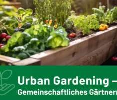 Informationsveranstaltung zum Urban-Gardening-Projekt am 18. Juni im Rathaus
