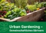 Informationsveranstaltung zum Urban-Gardening-Projekt am 18. Juni im Rathaus