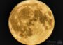 Nächtlicher Glanz: Der fast volle Mond erleuchtet Nußloch
