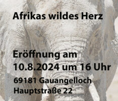 Fotografien von Barbara Reeder – Afrikas wildes Herz