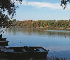 RadGuides Rhein-Neckar: Touren durch den Hardtwald, Odenwald und in virtuelle Welt  