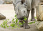 Gemeinsame Position der Tierhalter zur Novellierung des Tierschutzgesetzes 