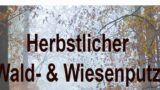 Herbstlicher Wald- und Wiesenputz in Nußloch – Gemeinsam für eine saubere Umwelt!