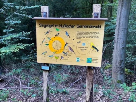 Neue Schilder für den Vogellehrpfad im Wald