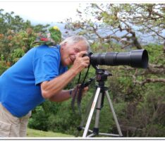 Der Lichtblick-Kalender: <br>Vorstellung der Fotografen Teil 4