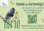 Sind noch alle Vögel da? <br>Stunde der Gartenvögel 2025