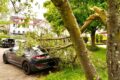 Feuerwehr befreite Autos von herabgestürztem Ast