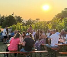 Tropische Nacht und Sommerweine: Unvergessliche Sommersonnenwende bei Adam Müller