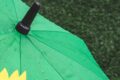 Grüne Gemeinderatsfraktion zur Starkregengefahrenkarte
