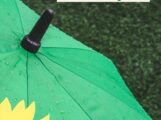 Grüne Gemeinderatsfraktion zur Starkregengefahrenkarte