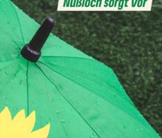 Grüne Gemeinderatsfraktion zur Starkregengefahrenkarte