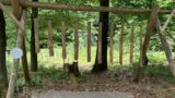 Sinnenpfad Neckargemünd bietet Naturerlebnis mit allen Sinnen