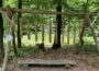 Sinnenpfad Neckargemünd bietet Naturerlebnis mit allen Sinnen