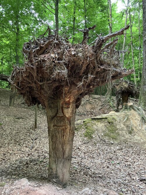 Im Gnomengarten „steht die Welt Kopf“. Die Baum-Gestalten schauen teils mürrisch drein. Foto: Landratsamt Rhein-Neckar-Kreis