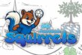 Vorbereitung läuft: Drei Testspiele für die neuen Squirrels