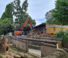 Projekt „Neues Schildkrötenhaus“: Meilenstein erreicht – Abrissarbeiten laufen