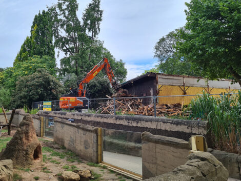 Projekt „Neues Schildkrötenhaus“: Meilenstein erreicht – Abrissarbeiten laufen