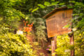 Naturlehrpfad und Hohlweg „Weiße Hohl“ bei Nußloch