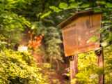 Naturlehrpfad und Hohlweg „Weiße Hohl“ bei Nußloch