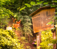 Naturlehrpfad und Hohlweg „Weiße Hohl“ bei Nußloch