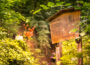 Naturlehrpfad und Hohlweg „Weiße Hohl“ bei Nußloch