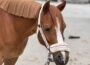 Ponyführen beim Reit- und Fahrverein Wiesloch