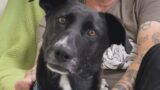 Man lernt nie aus – auch im Tierheim