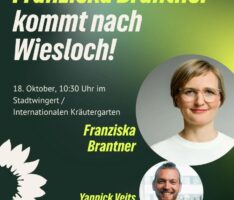 Franziska Brantner (B90/Die Grünen) besucht den Stadtwingert