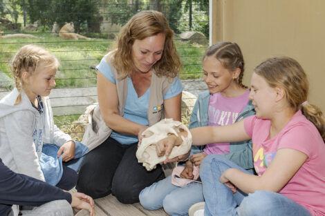 Neues Programm in Heidelberg bietet vielfältige Zoo-Erlebnisse