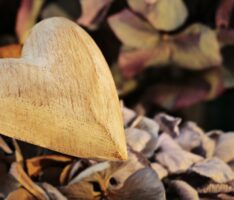 Achtsamkeits Adventskalender Tür 8: Sei dankbar