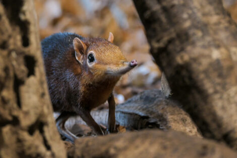 Tierinventur im Zoo Heidelberg