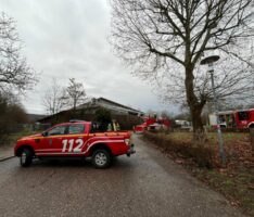 Vogelrettung: Feuerwehr rettet verirrten Falken aus Reithalle