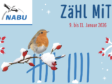 Stunde der Wintervögel: Kostenlose Zählhilfe vom NABU