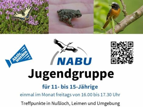 Action for Nature: NABU-Jugendgruppe Leimen-Nußloch lädt zu Naturprojekten ein